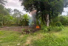 Bakar Sampah di Pekarangan, Praktis tapi Berisiko
