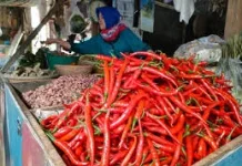Cabai Merah Besar Pimpin Kenaikan Harga Pangan di Aceh