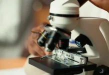 Menelusuri Evolusi Mikroskop dari Lensa Kuno hingga Teknologi Super-Resolusi