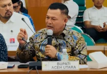 Ayah Wa Dorong Penguatan UUPA dan Otsus