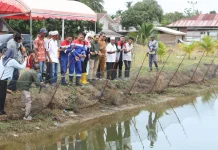 Pertamina Hulu Energi Tanam Mangrove dan Tebar Bibit Kepiting