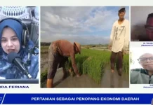 Pentingnya Optimalisasi Sektor Pertanian Demi Menopang Ekonomi Daerah
