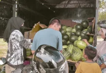 Cuaca Panas Penjualan Semangka Laris Manis