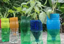 Sulap Sampah Plastik dan Barang Bekas Menjadi Media Berkebun yang Bermanfaat