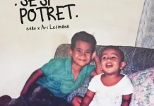 Lirik Sesi Potret - eńau, Ari Lesmana