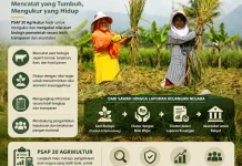 Era Baru Akuntansi Agrikultur Pemerintah
