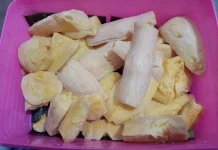 Tape Ubi, Fermentasi Tradisional Kaya Nutrisi yang Bermanfaat untuk Kesehatan