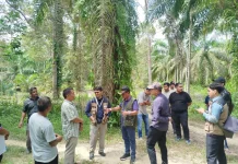 Pemkab Aceh Utara Dampingi Tim Kementerian Tinjau Lokasi di Kecamatan Langkahan