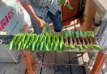 Pulut Bakar, Kuliner Tradisional dengan Cita Rasa Tak Lekang Waktu