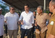 Sekda Aceh Tinjau Rehabilitasi Sawah di Aceh Timur