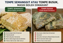 Tempe Semangit atau Tempe Busuk, Masih Boleh Dimakan?