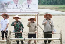 Tanam Perdana Pasca-Bencana, Aceh Tamiang Adopsi Teknologi Pertanian Modern