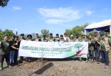 Medco E&P dan BPMA Tanam 1.000 Mangrove di Banda Aceh