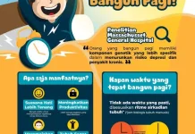 Rutinitas Pagi Sehat sebelum Beraktivitas