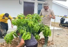 Polres Aceh Tamiang Wujudkan Huntap Hijau Lewat Gerakan Menanam