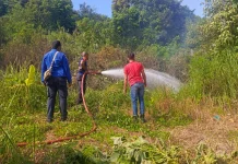 Pembakaran Sampah Diduga Picu Kebakaran Lahan Blang Poroh