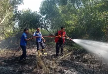Cuaca Panas, Jangan Sembarangan Bakar Lahan Kering