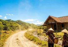 BMKG Imbau Warga Waspadai Cuaca Terik dan Potensi Kebakaran Lahan