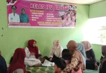 Kelas Ibu Balita Tingkatkan Pengetahuan Orang Tua Dukung Tumbuh Kembang Anak