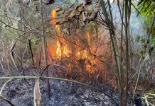 Damkar Lhokseumawe Padamkan Kebakaran Lahan Cot Sabong