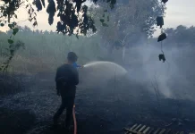 Kebakaran Lahan di Muara Dua Berhasil Dikendalikan