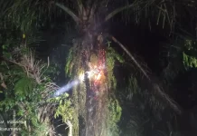 Pembakaran Sampah Picu Kebakaran Lahan di Blang Mangat