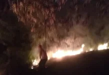 Kebakaran Lahan Kembali Terjadi, Warga diimbau Tidak Membakar Sampah Sembarangan