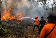 Waspada Kebakaran saat Musim Kemarau
