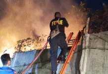 Diduga akibat Bakar Sampah, Lahan 800 Meter Persegi Terbakar di Muara Dua