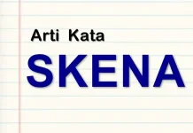 Skena Bukan Sekadar Gaya, Ini Makna yang Sebenarnya