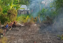 Lahan 2,5 Hektare di Panggoi Dilalap Api