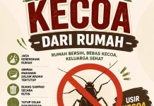 Tips Efektif Atasi Kecoa di Rumah