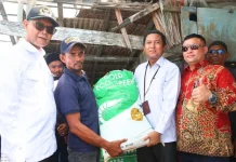 Pemkab Aceh Utara Lepas Bibit Kerapu untuk Pulihkan Ekonomi Nelayan