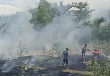 Kebakaran Lahan Gambut di Meunasah Blang Lhokseumawe Berhasil Dipadamkan