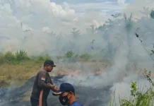 Kebakaran Lahan 350 Meter Terjadi di Muara Dua