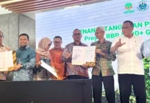 Capaian Penurunan Emisi, Perkuat Tata Kelola Hutan Aceh