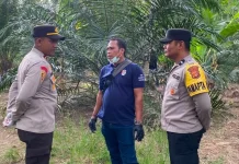 Pria 48 Tahun Ditemukan Meninggal di Bawah Rumah Panggung di Tanah Luas
