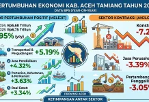Pasca Bencana, Ekonomi Aceh Tamiang Hanya Tumbuh 0,95 Persen