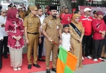 Pawai Karnaval HUT RI di Idi, Berlangsung Meriah