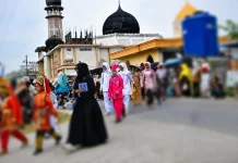 Karnaval HUT RI ke-81 di Kecamatan Julok Meriah