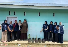 Dorong Kesehatan Warga, Mahasiswa KKN di Desa Bayu Tanam Tanaman Herbal