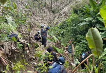 Pulihkan Tutupan Lahan Pasca-Bencana, KTH Gunung Greudong Tanam Ratusan Pohon