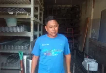 Harga Semen di Lhokseumawe Mulai Turun