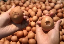 Telur Retak Ramai Peminat, Amankah di Konsumsi ?