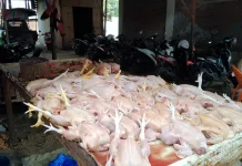 Harga Daging Ayam dan Bawang Merah Turun, Cabai Merah Keriting Naik