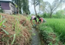 Turun ke Irigasi, Pastikan Air Lancar untuk Sawah Petani