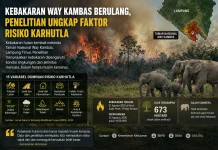 Kebakaran Way Kambas Berulang, Penelitian Ungkap Faktor Risiko Karhutla