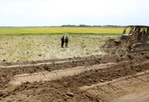 Distanbun Aceh Optimistis Pemulihan Sawah Rampung Tahun Ini