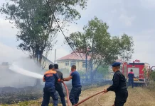 Kebakaran Lahan Melanda Alue Lim, Api Berhasil Dipadamkan