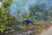 Kebakaran Lahan Blang Raya di Lhokseumawe Berhasil Dipadamkan